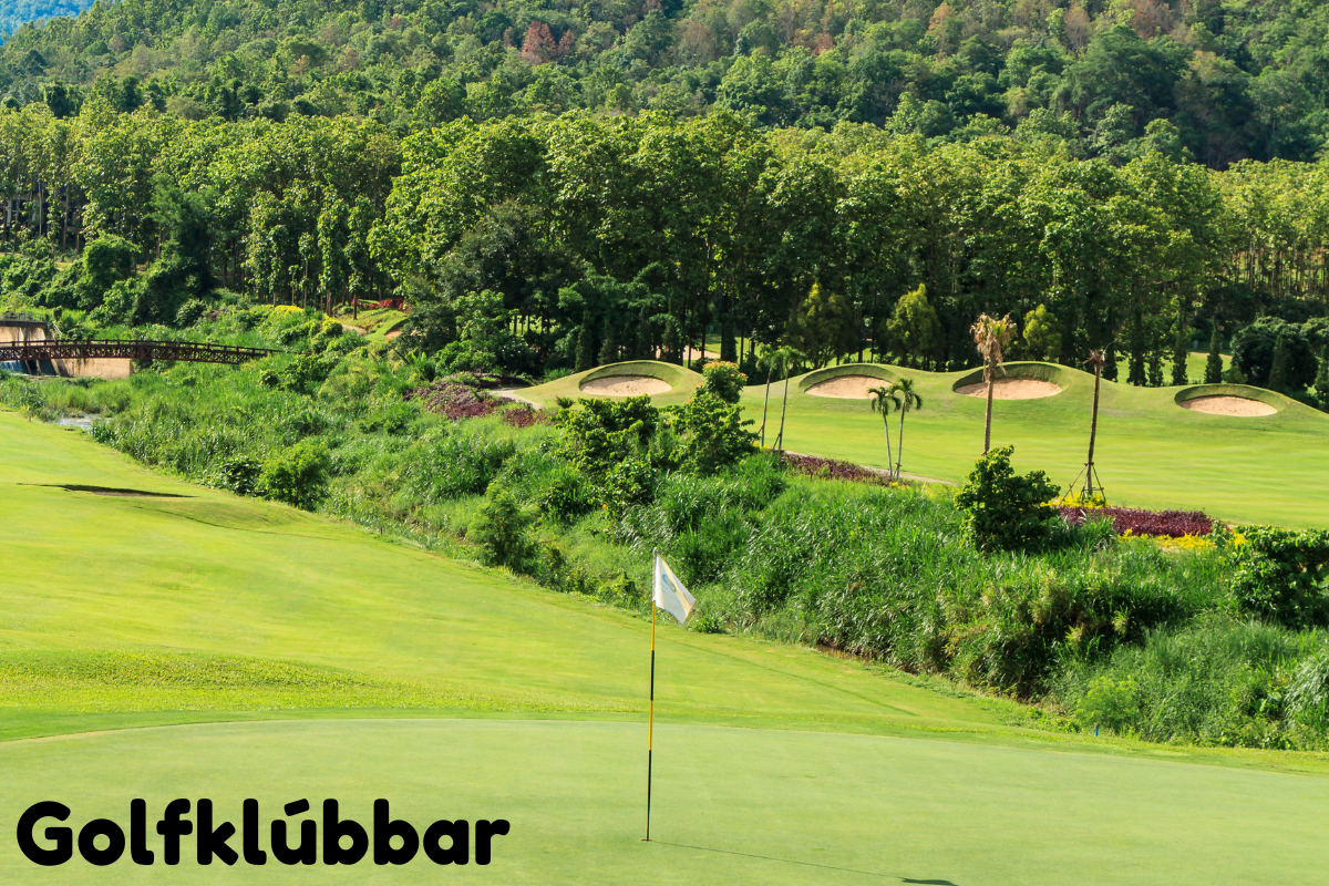 Discover the fun of joining a golfklúbbar! Enjoy top courses, make new friends, save money with discounts, and improve your game with expert coaching.